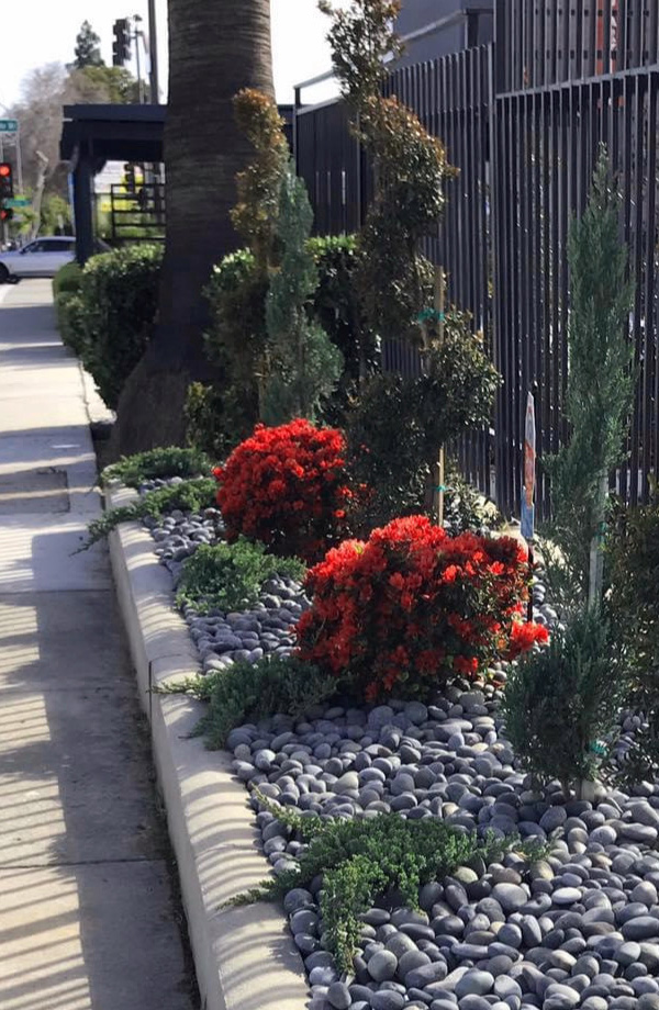 house with artificial turf