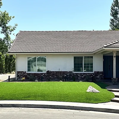 Artificial Turf in House